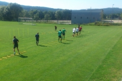 Trainingsauftakt_07_2017 (1)