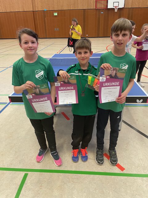 Erfolgreiche Teilnahme beim TT-Bezirks-Mini-Entscheid